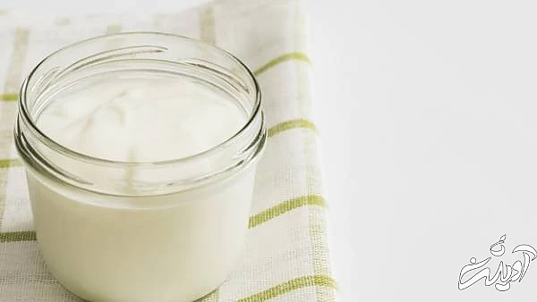 فریز کردن مواد غذایی پخته ماست فریز شده